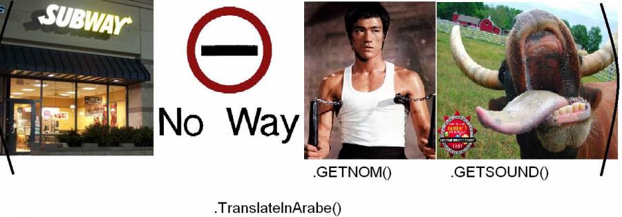 sub.jpg